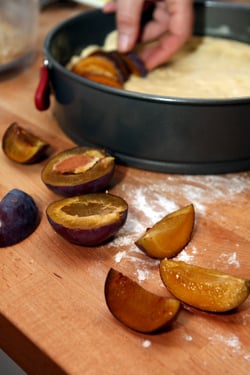 assembling plum tart