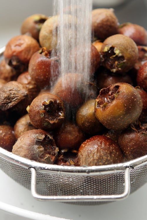 washing medlars for medlar jelly