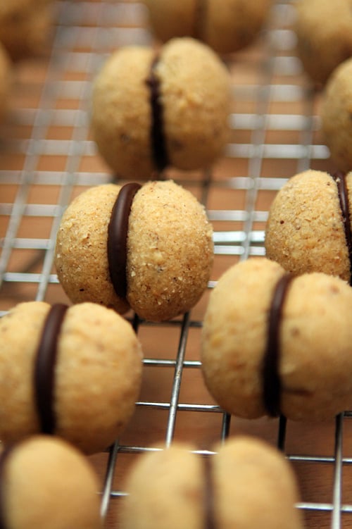 Baci Di Dama Cookies David Lebovitz