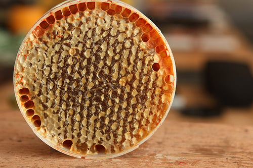 honeycomb