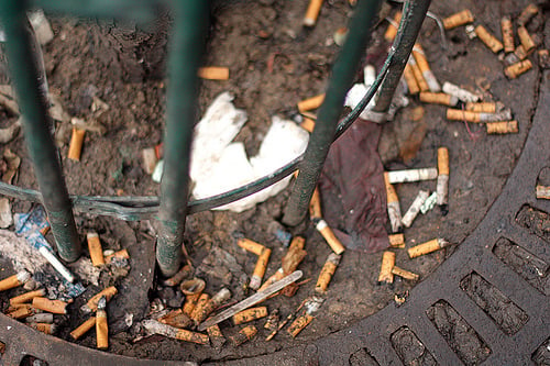 cigarette butts