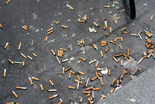 cigarette butts