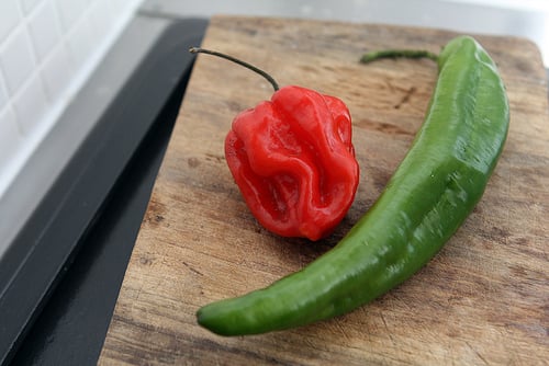 peppers for shakshuka 