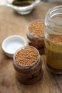 homemade mustard recipe