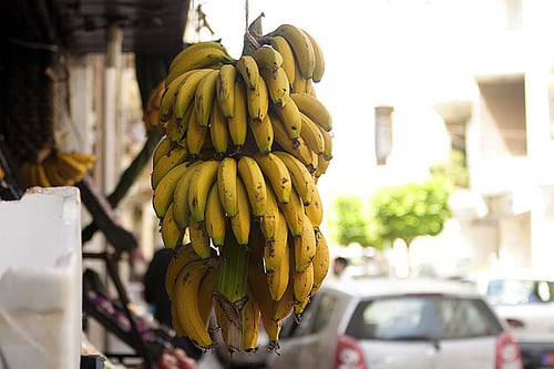 Bananas from Lebanon