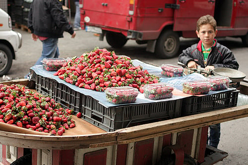 Lebanese strawberries on cart