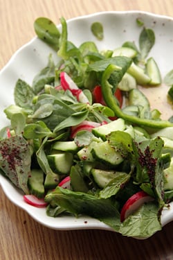 Lebanese salad, purslane, sumac, etc