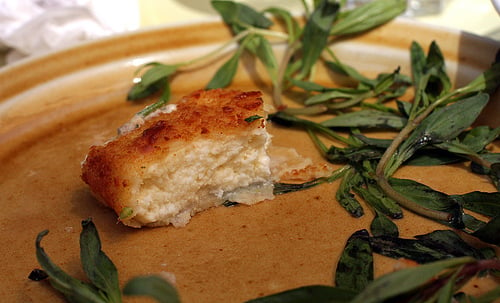 fried haloumi cheese