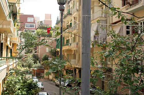 Street in Beirut