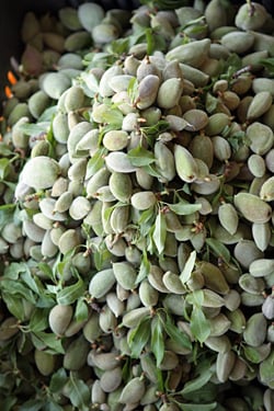 green almonds