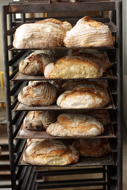 bread rack at Rosendals Trädgård