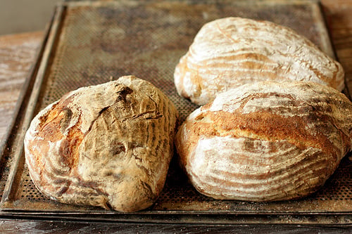 crusty swedish breads