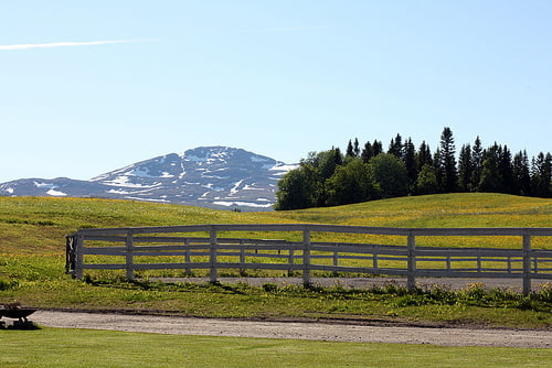 Fäviken