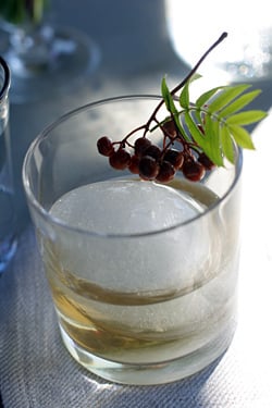 billberry cocktail