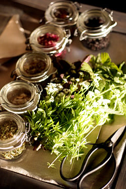 Fäviken infusions