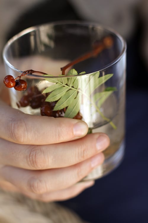 billberries in a cocktail