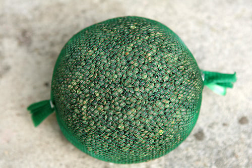 green lentils