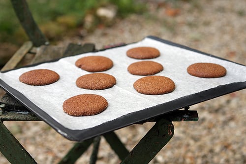 gingersnaps cookies