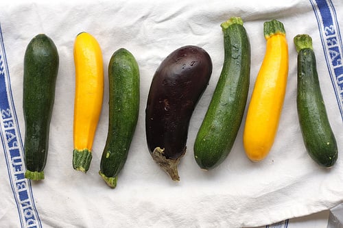 squash and eggplant