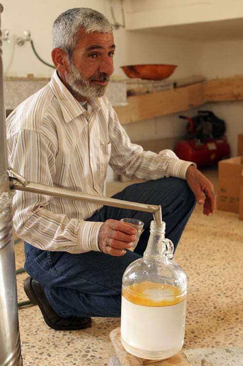distilling za'atar water and oil 