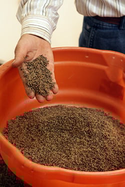 sifted za'atar