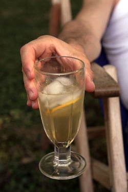 lemon ginger soda