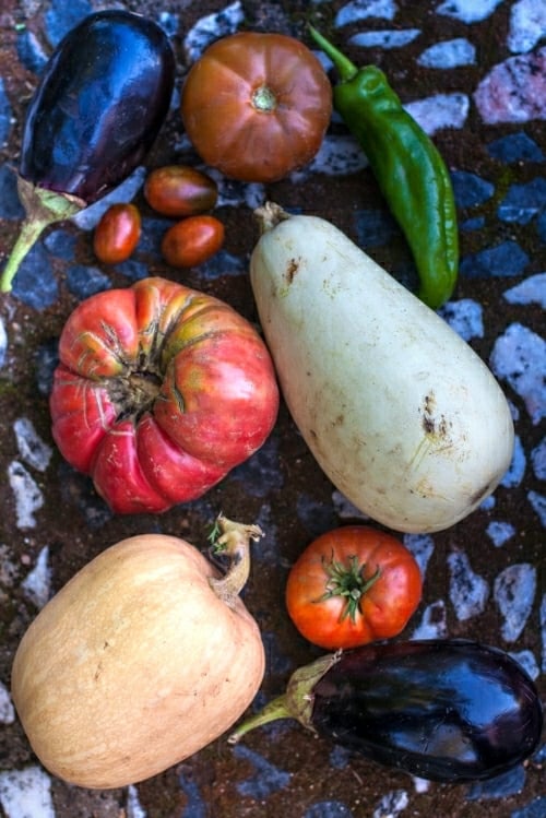 Spanish vegetables