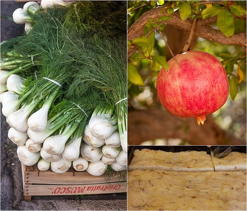 fennel and pomegranate