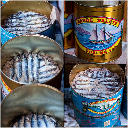 anchovies and sardines