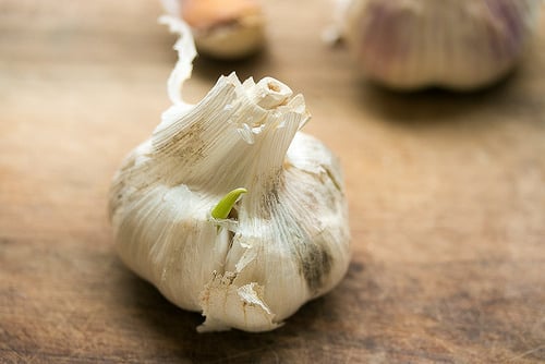 Should you remove the green germ from garlic? - David Lebovitz