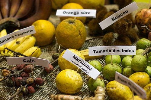 Paris Salon de l'Agriculture in Paris