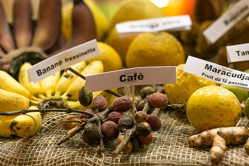 Paris Salon de l'Agriculture in Paris