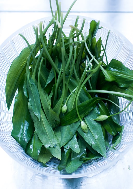 Ramp/Wild Garlic pasta