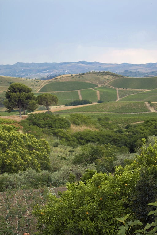 Sicilian countryside