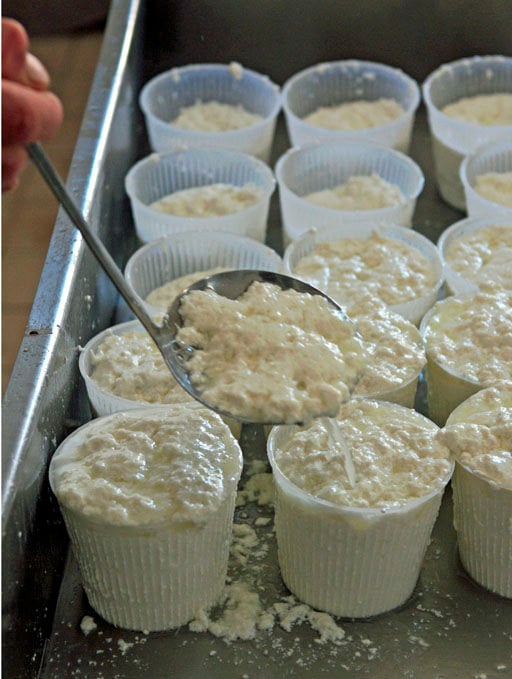 draining ricotta