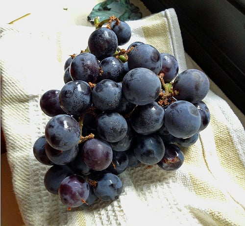 Niabell grapes