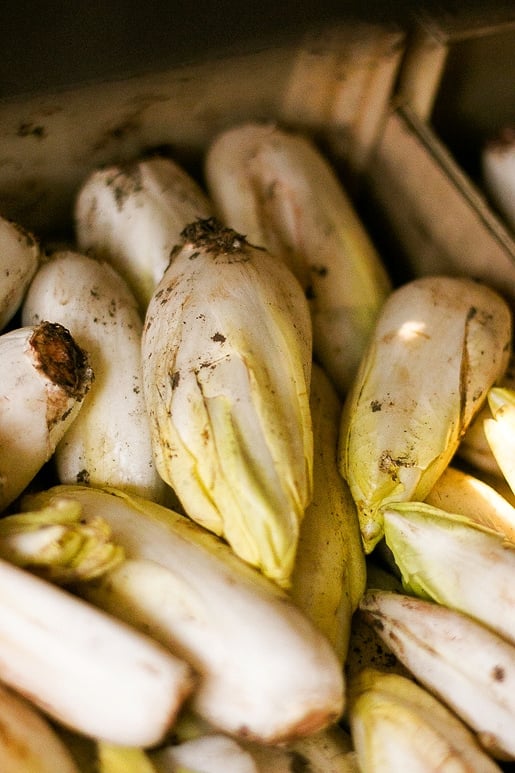 Paris Producers Fête - Belgian endive