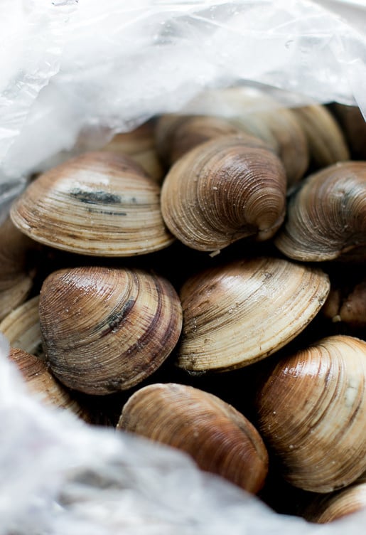 New England Clam Chowder