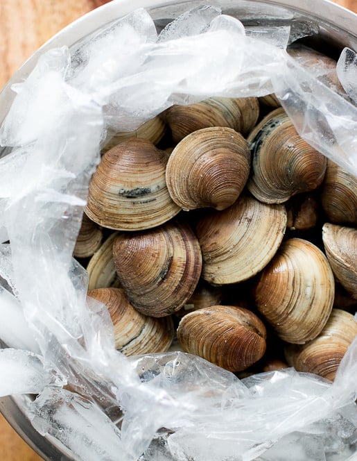 New England Clam Chowder