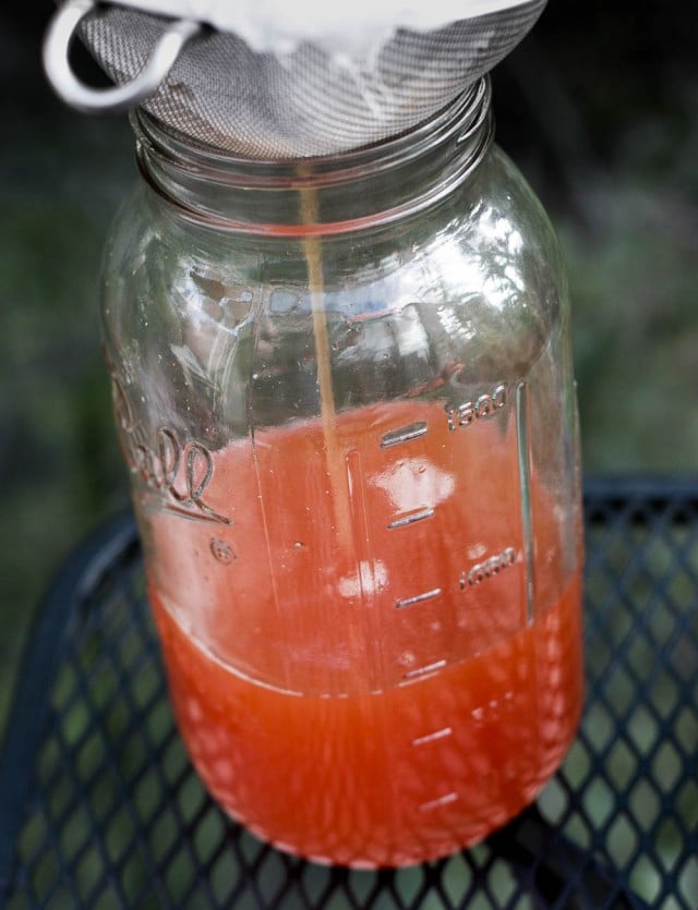 Homemade tonic water recipe