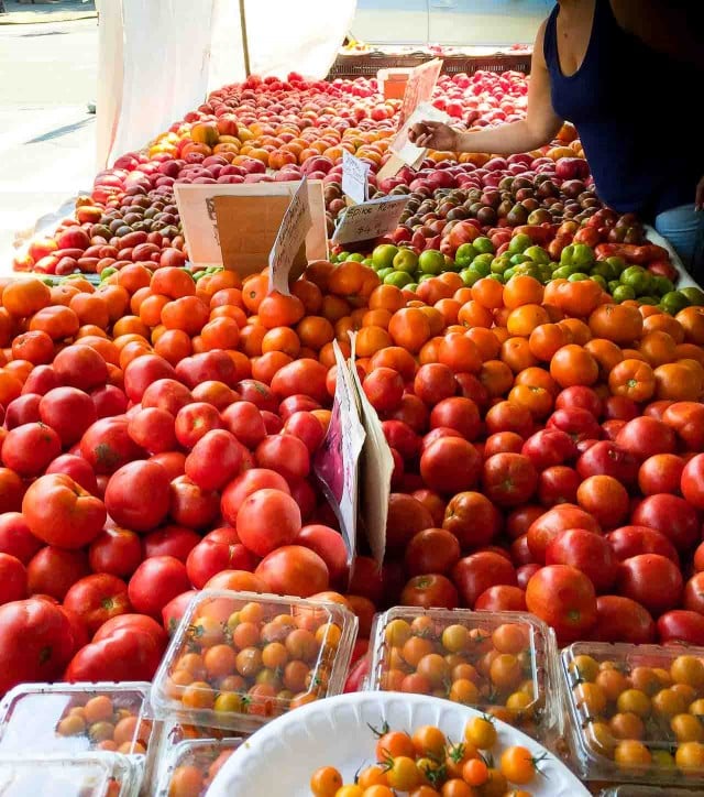 Fresh corn, tomato, avocado and basil salad