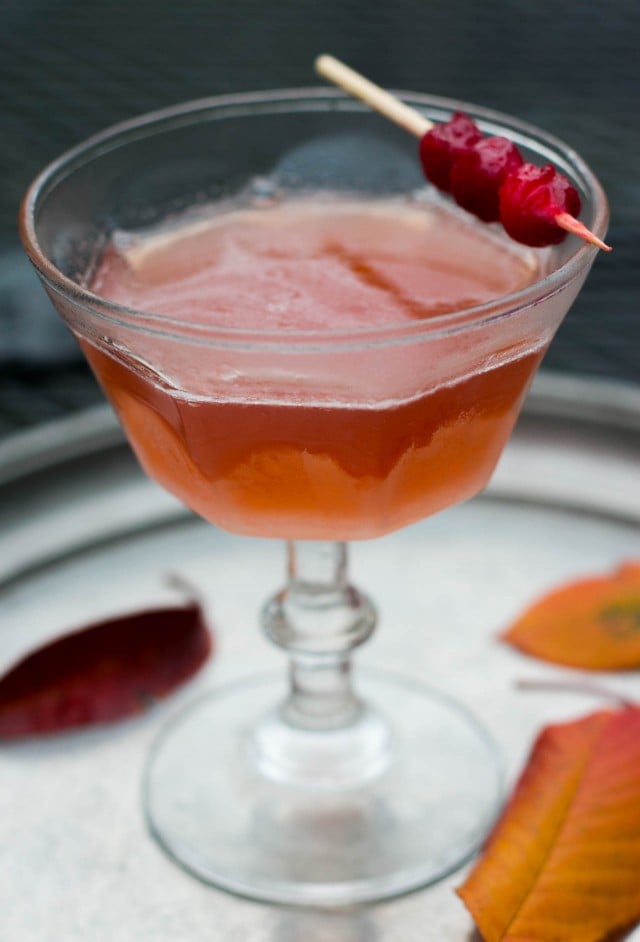 Cranberry Shrub Cocktail