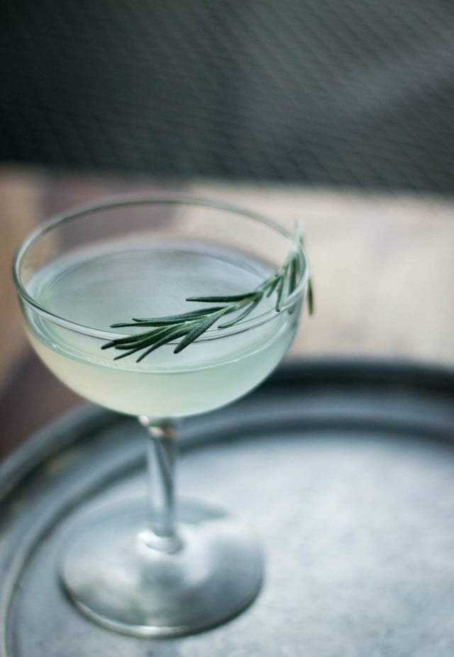 Rosemary Gimlet Cocktail Recipe