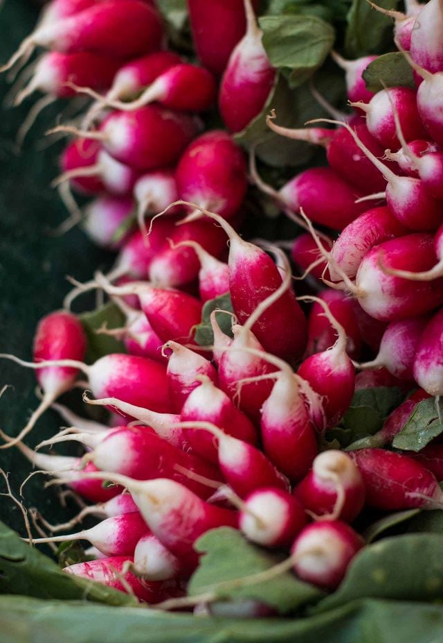 French breakfast radishes