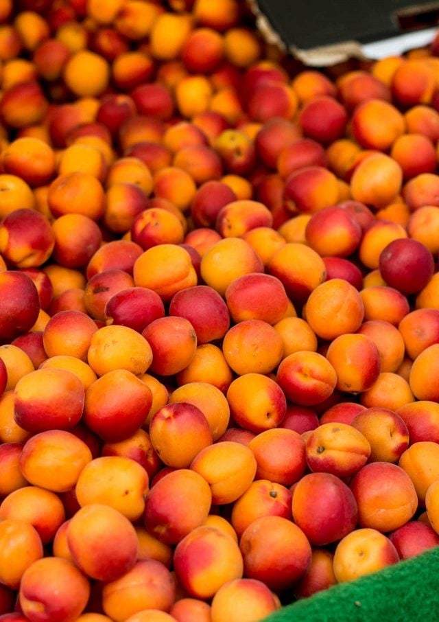 apricots