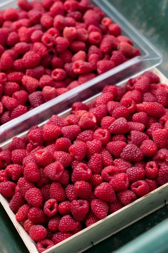 La Ferme de Viltain raspberries