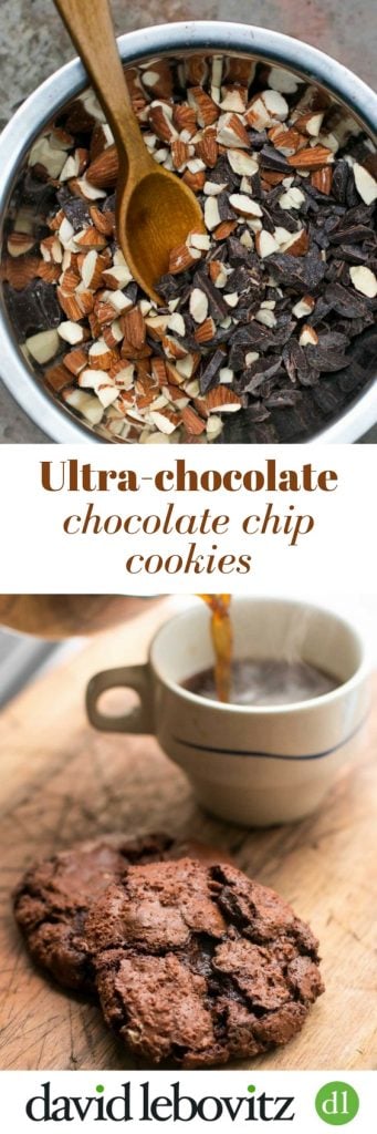 Ultra-delicious Chocolate Chocolate-Chip Cookie recipe packed with chocolate