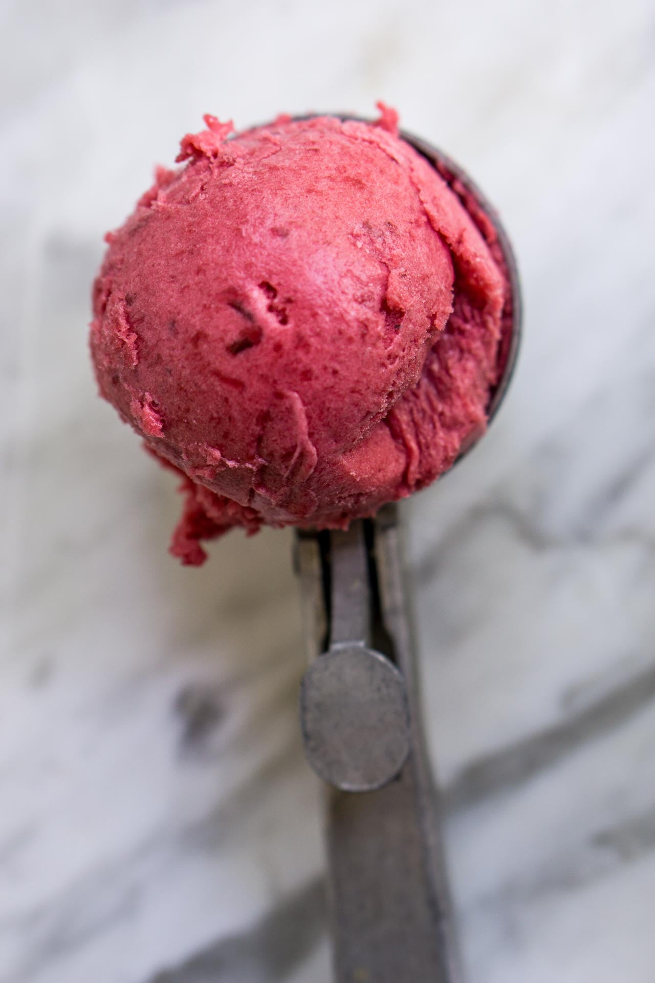 Plum Sorbet David Lebovitz