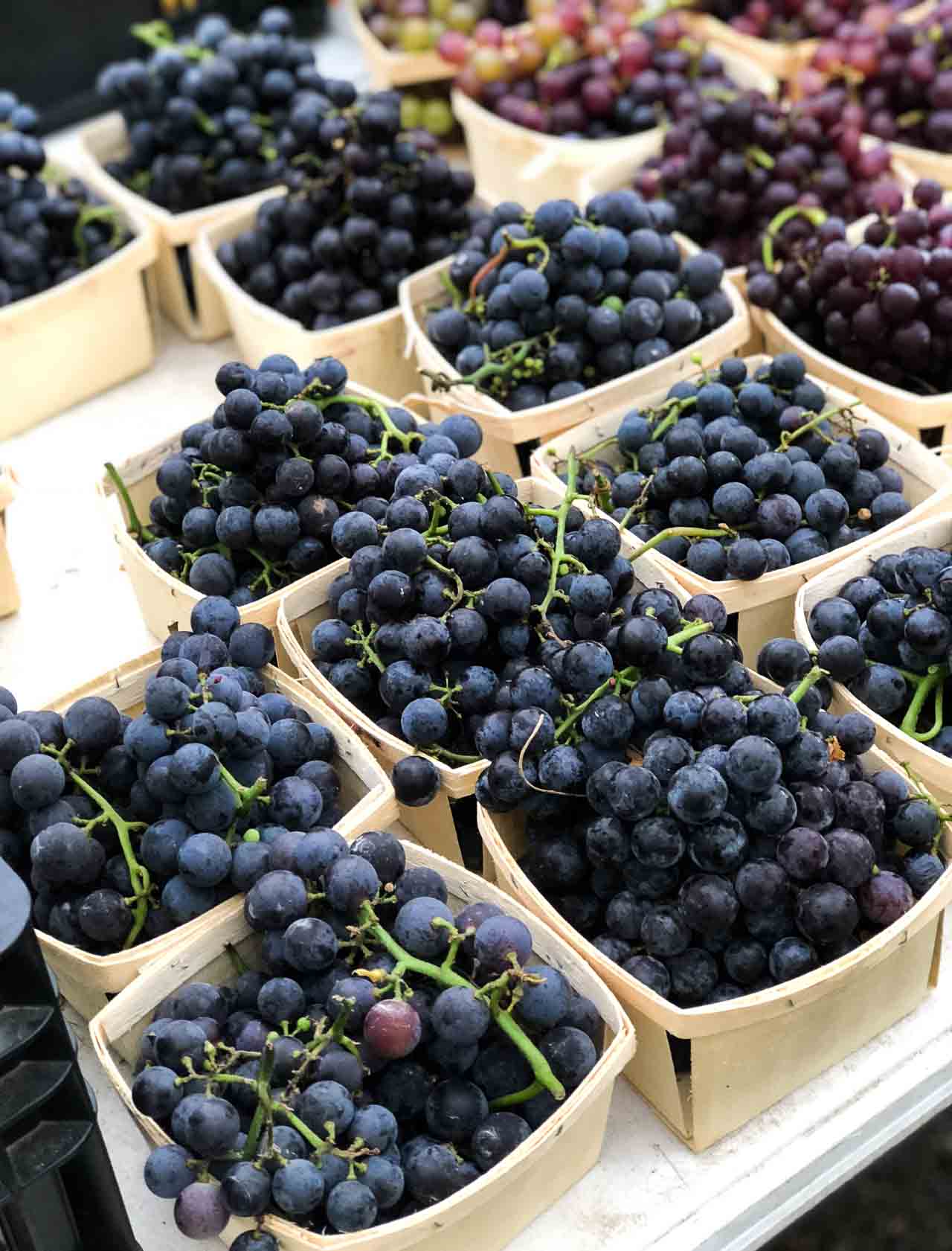A refreshing sorbet made with fresh grapes!