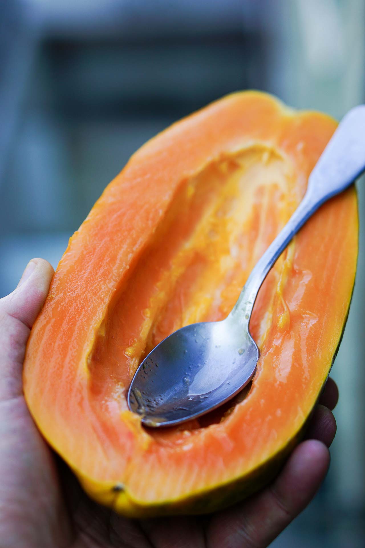 Papaya Lime Sorbet David Lebovitz